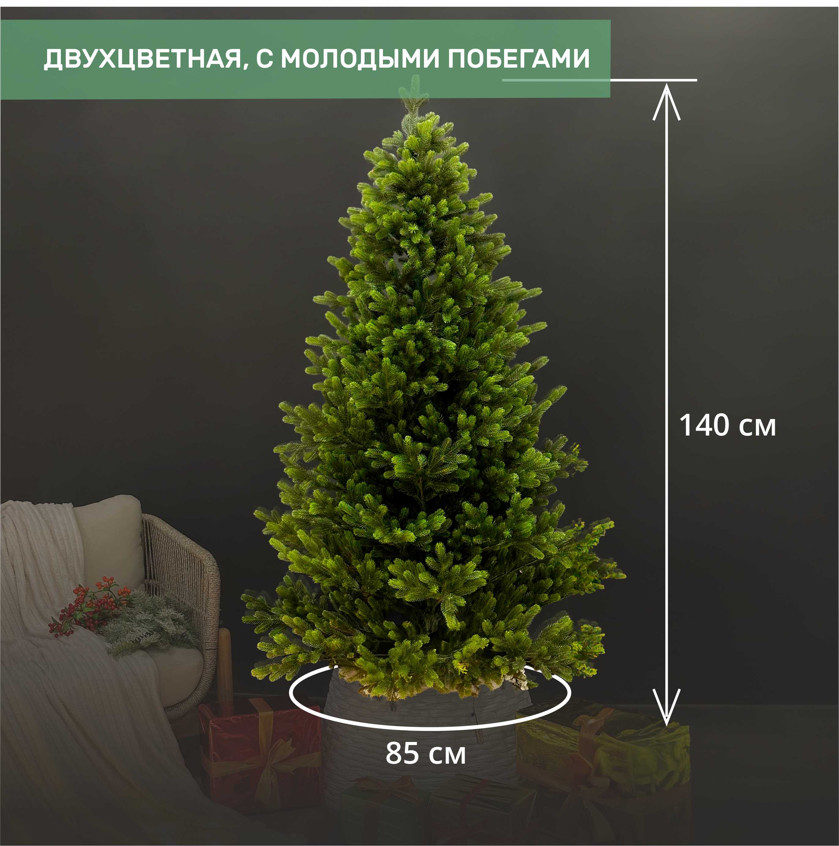 картинка Ель ЛЮБЛИНСКАЯ 1.4 м.