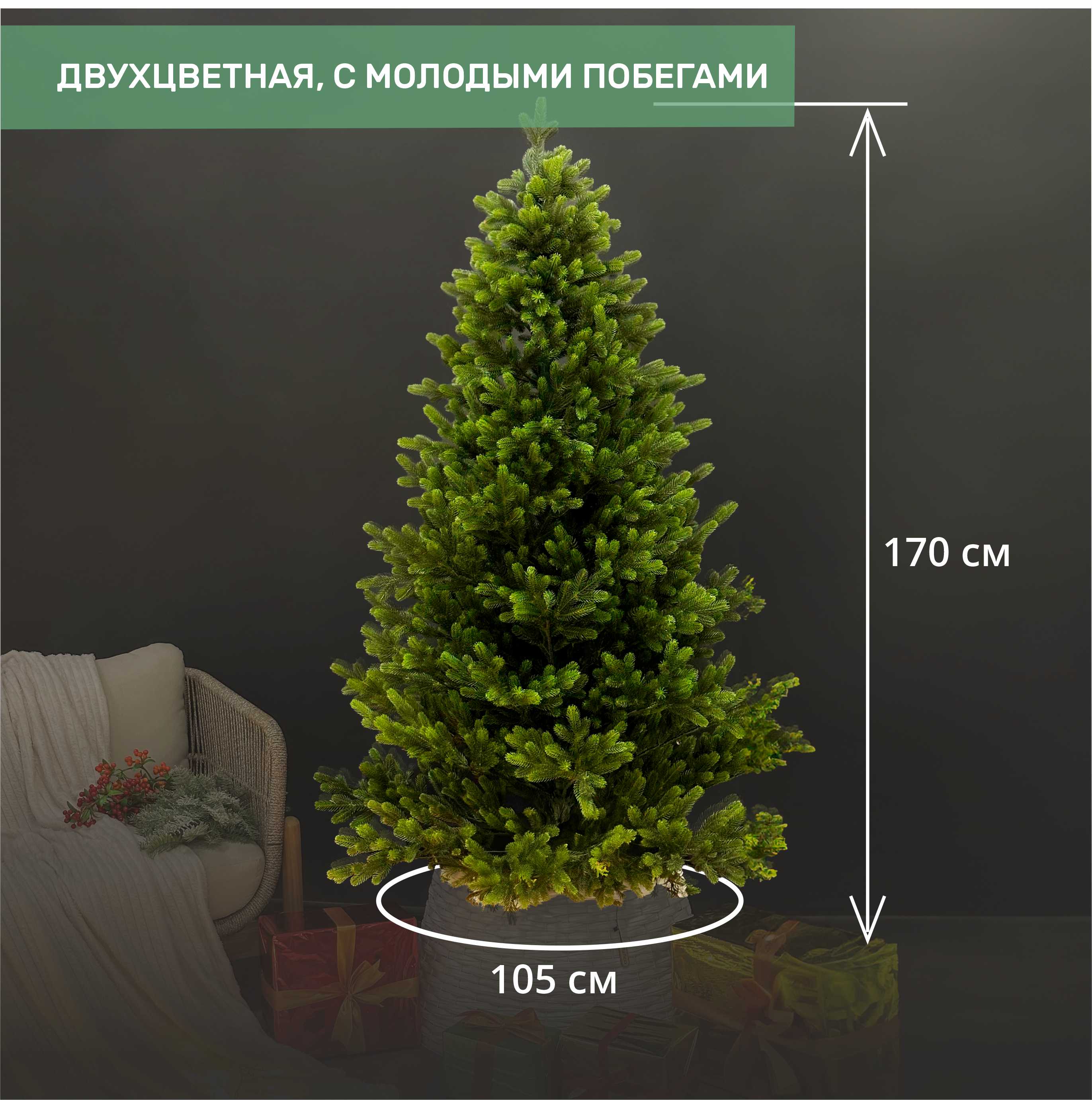 Ель ЛЮБЛИНСКАЯ 1.7 м.