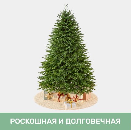 Ель ВЕРСАЛЬСКАЯ 2.4 м.