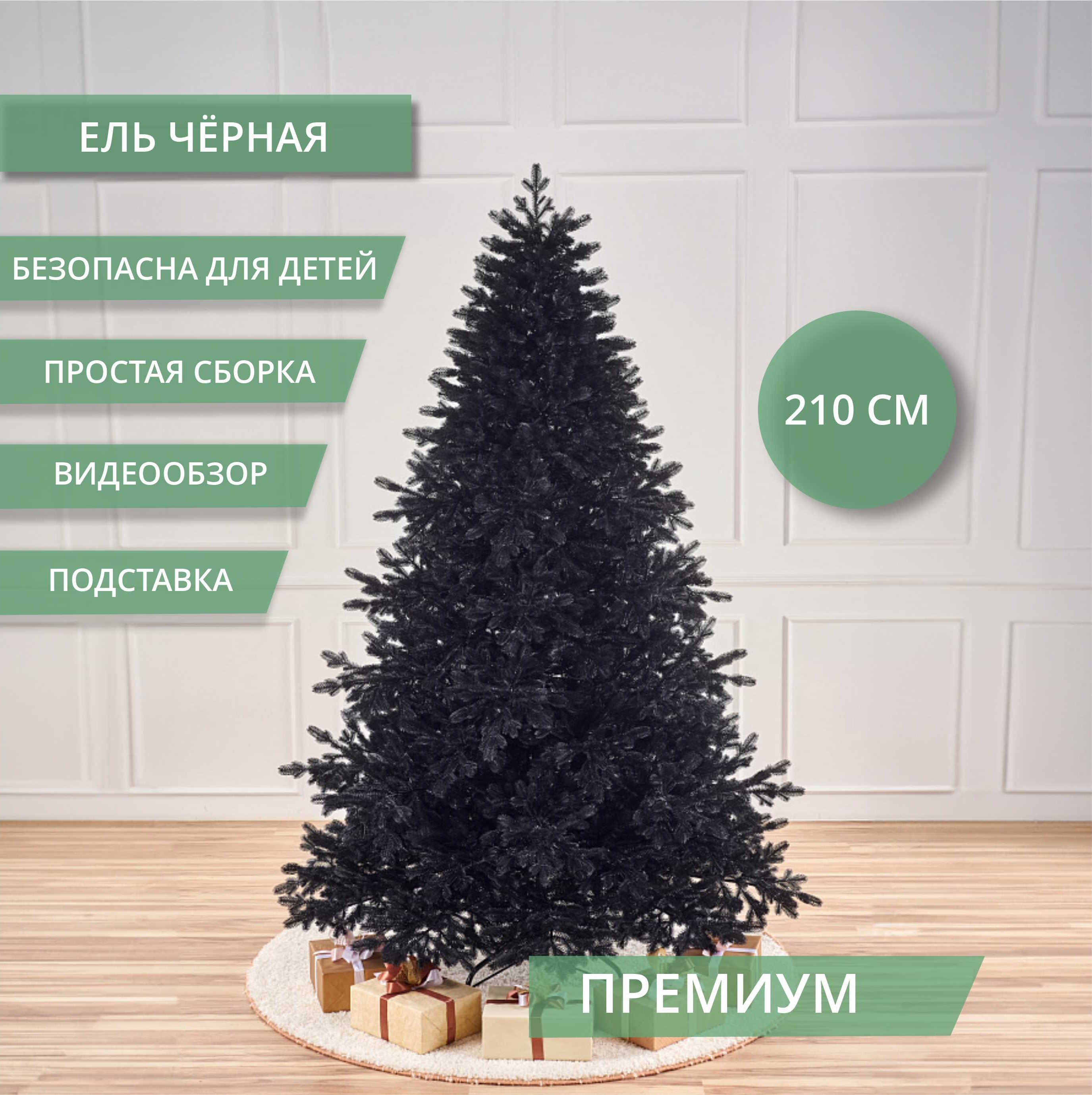 картинка Ель ЧЁРНАЯ