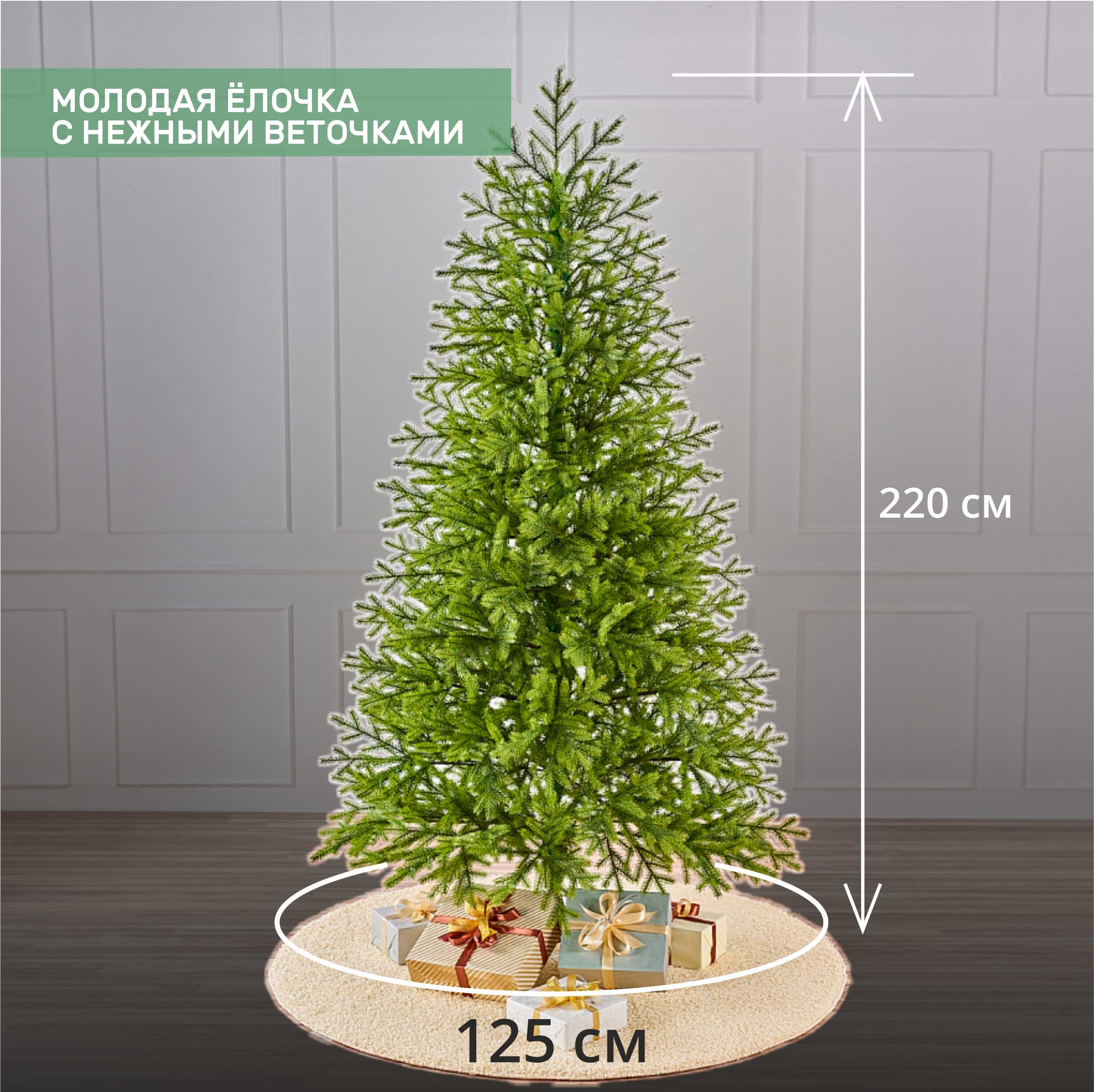 картинка Ель ИЗЯЩНАЯ 2.2 м.