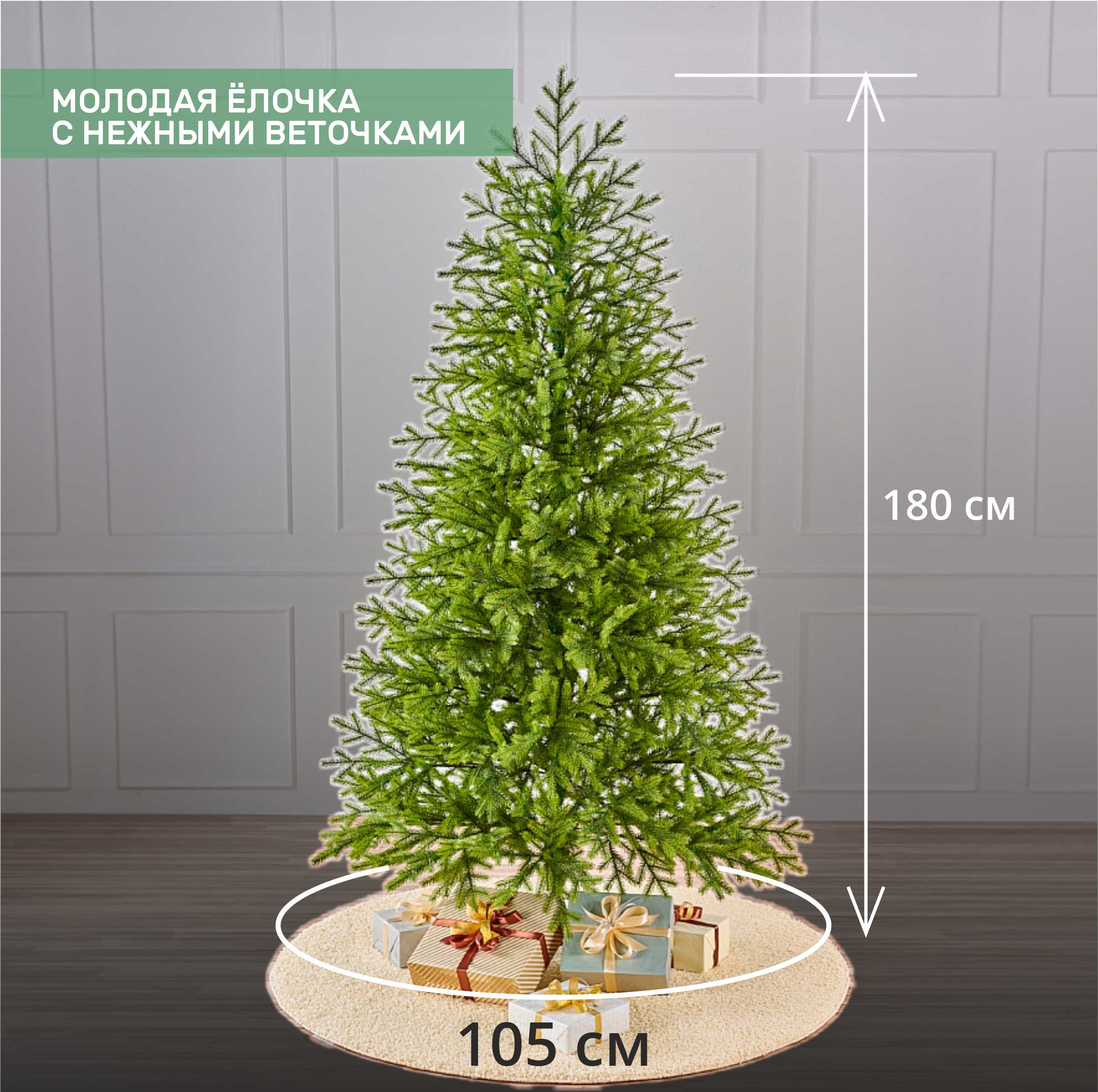 картинка Ель ИЗЯЩНАЯ 1.8 м.