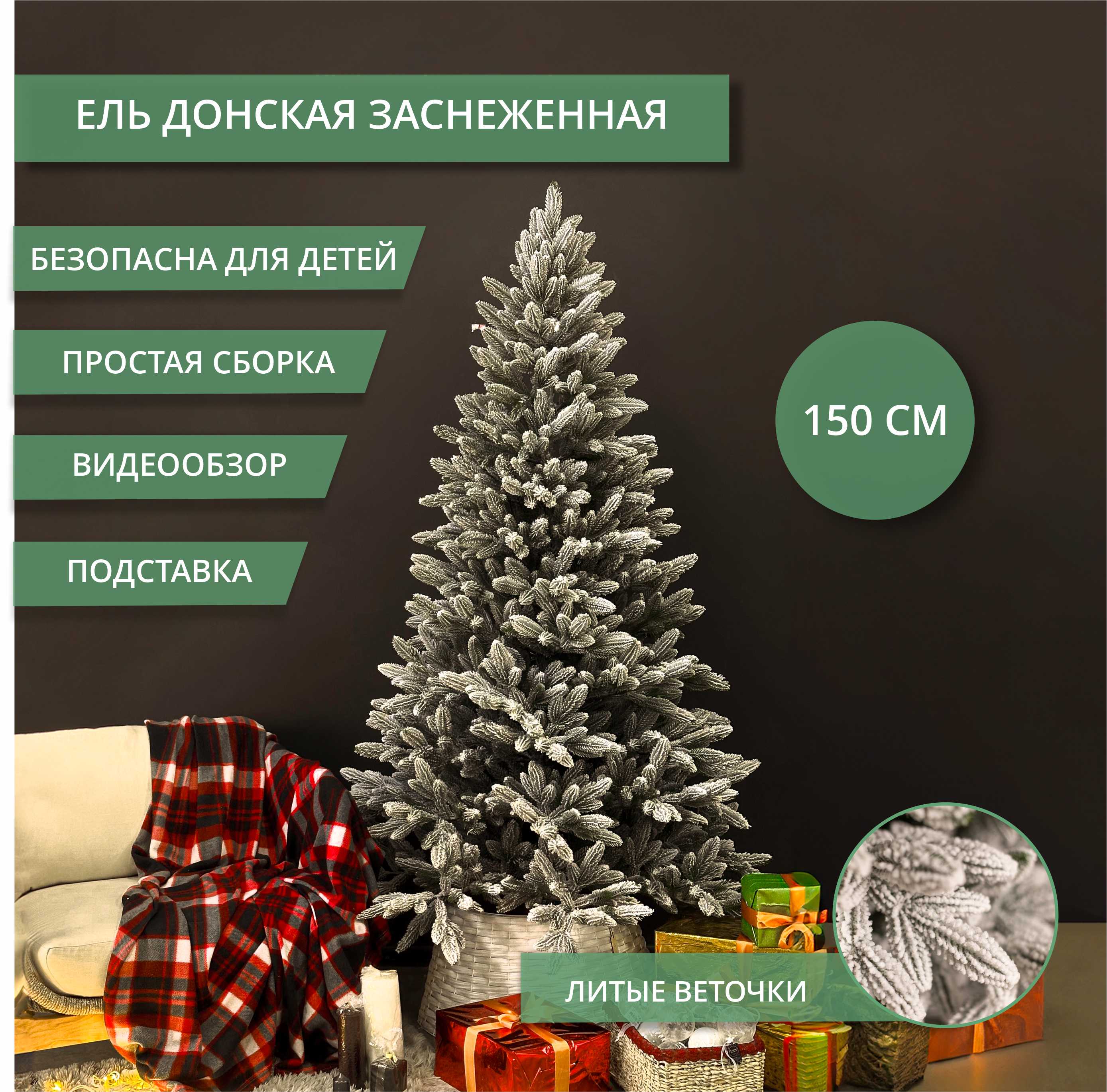 картинка Ель ДОНСКАЯ заснеженная картинка Ель ДОНСКАЯ заснеженная