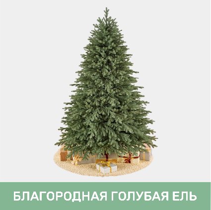 Ель ЮТА 2.1 м.