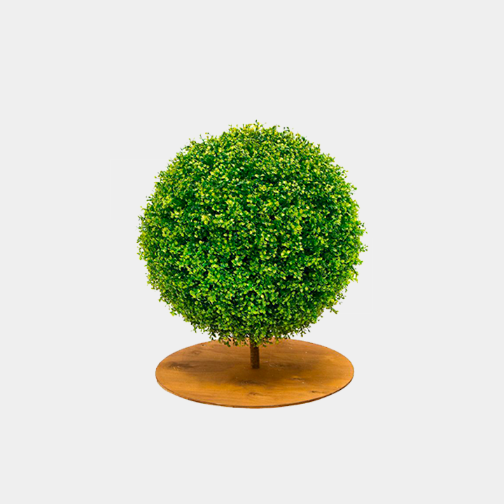 Самшит шар Премиум на основании